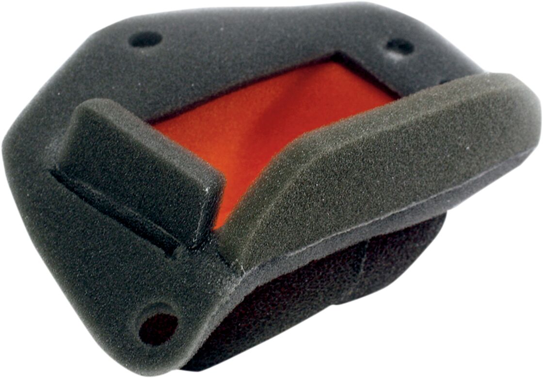 Luftfiltre til BMW — Twin Air 158328FR