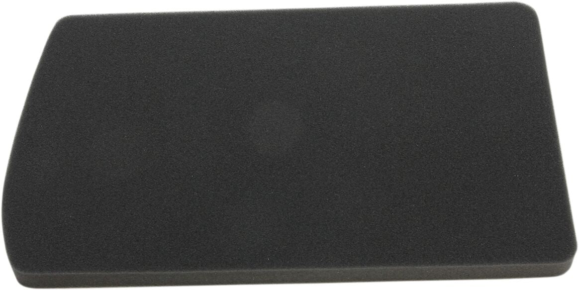Luftfiltre til BMW F 650 — Hiflofiltro HFA7603