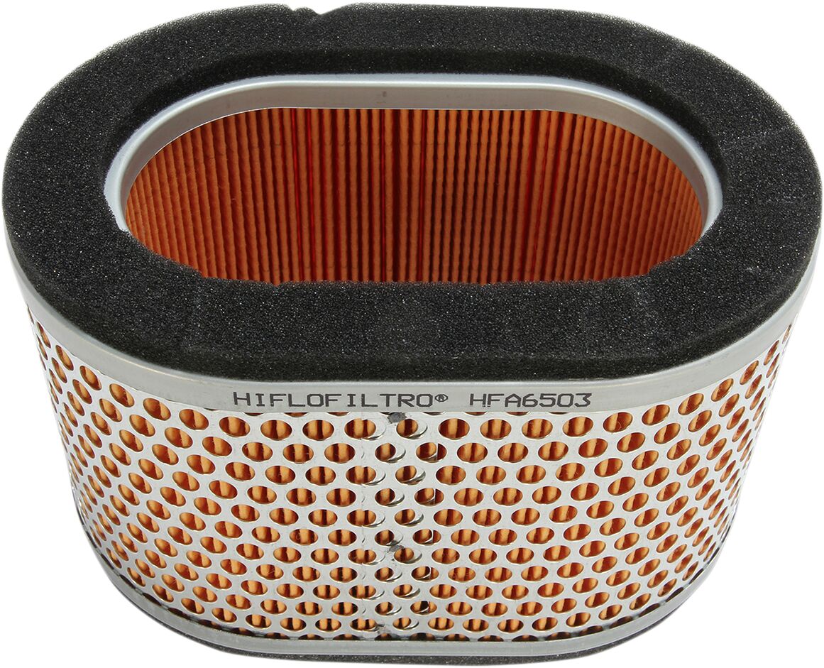 Luftfiltre til Triumph — Hiflofiltro HFA6503
