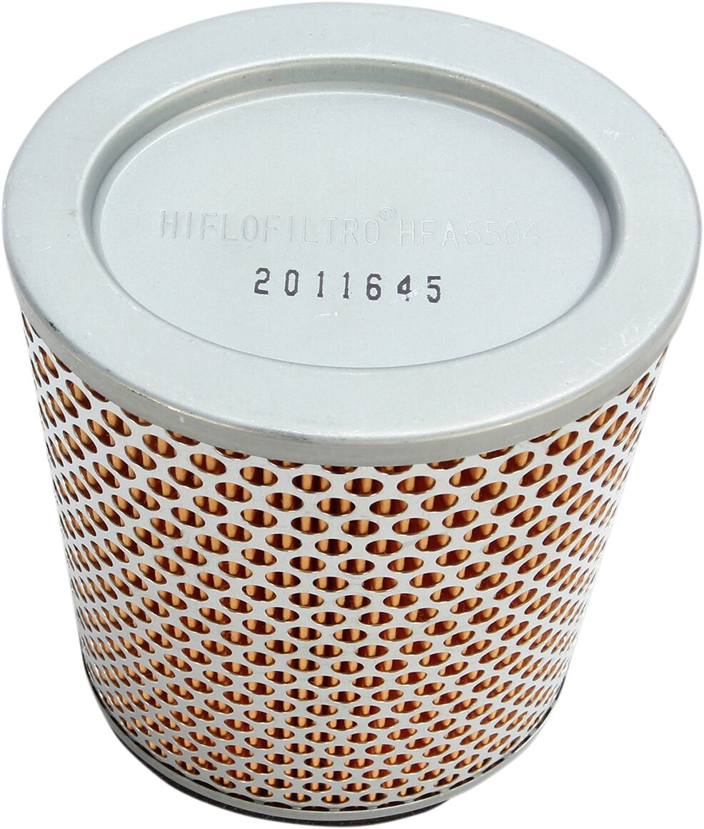 Luftfiltre til Triumph — Hiflofiltro HFA6504