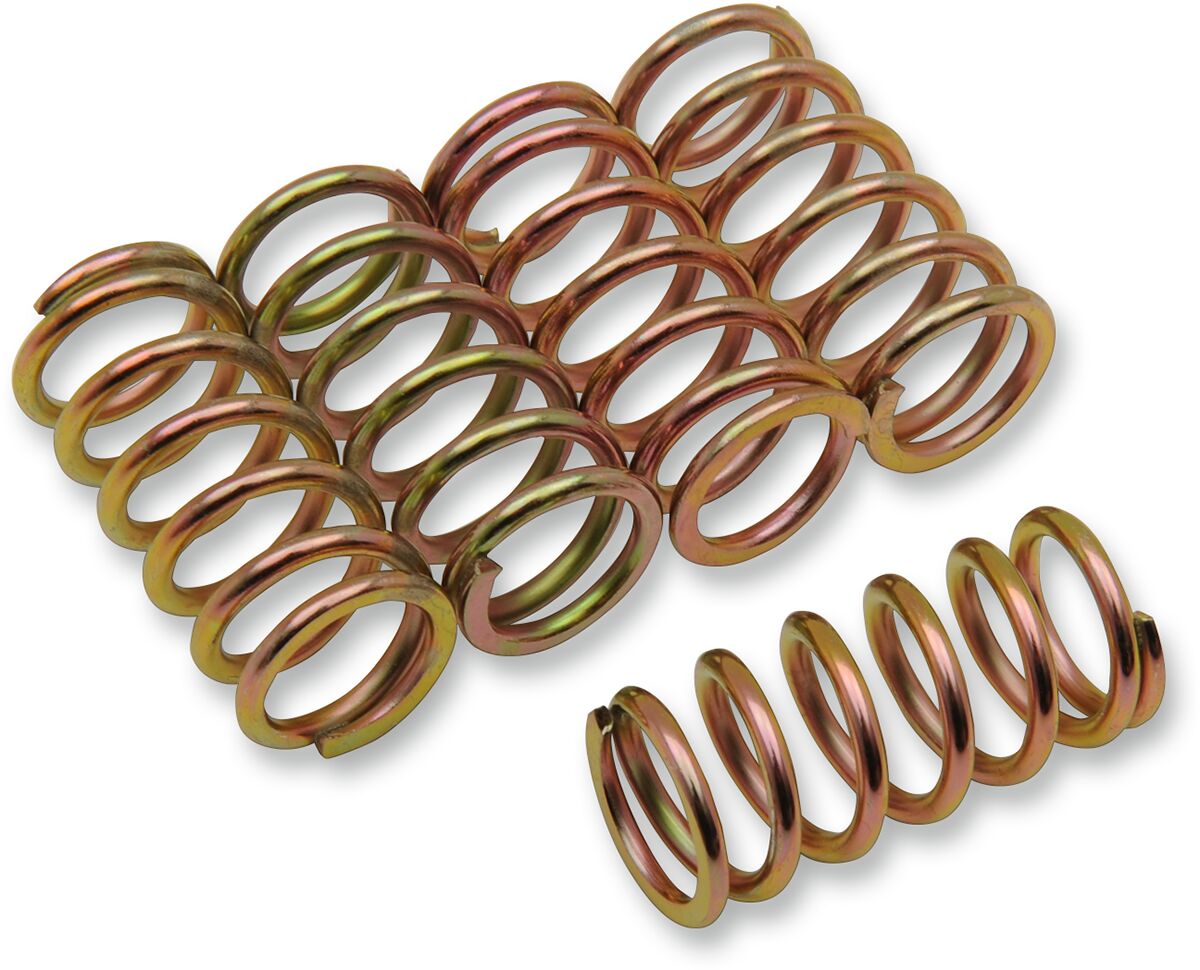 Clutchplater og fjærer — Barnett 501-45-05050