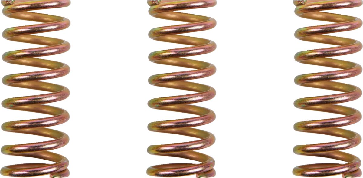 Clutchplater og fjærer — Barnett 501-35-03099