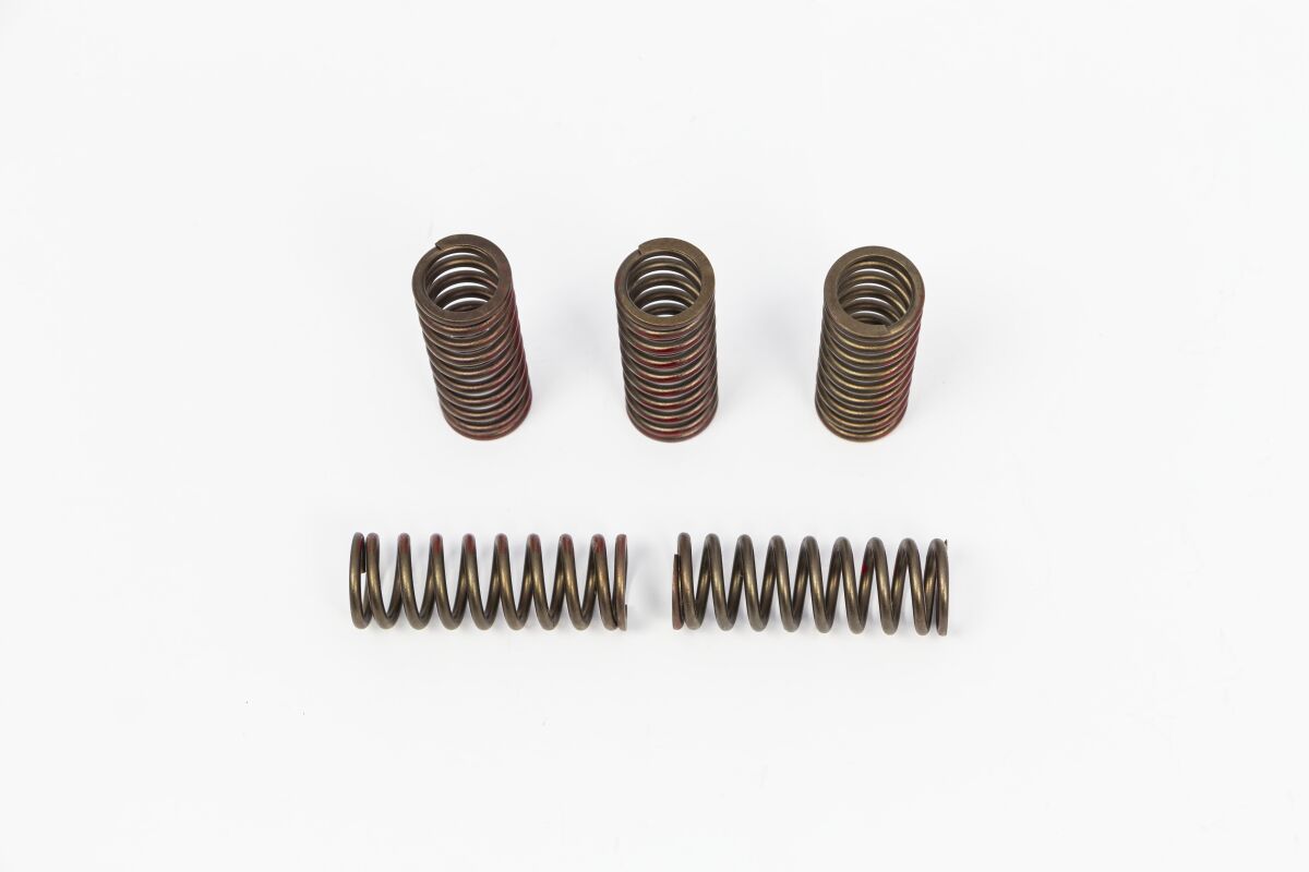 Clutchplater og fjærer til Honda CRF 250 R — Pro Circuit CSH20250-CS