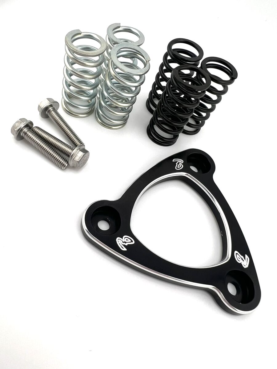Clutchplater og fjærer til Harley-Davidson — Barnett 11314068