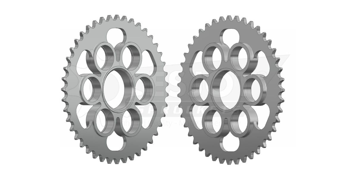 Bakdrev stål 520, 43T til Ducati PANIGALE V2 955 ABS — Esjot 50-32160-43