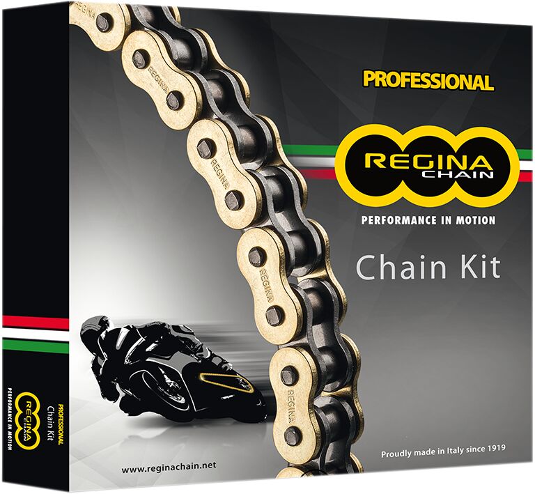 Kjedesett 520, 15/45, 108 ledd til Ducati MONSTER 696 — Regina KD041