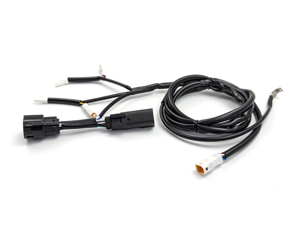 Ekstralys, P&P Dialdim Wiring Adapter Ducati Desertx — Denali DNL.WHS.23900