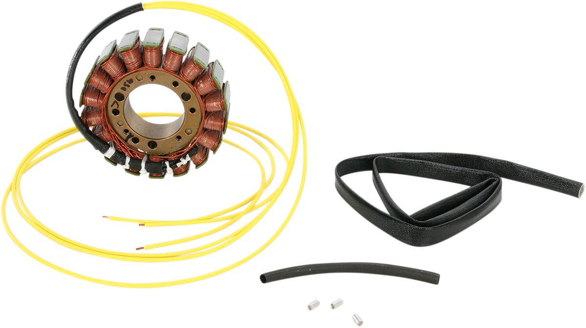 Dynamo og tenning til Can-Am — Rick's Motorsport Electric 21-056