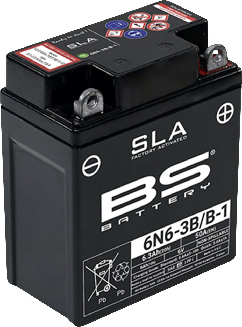 Batterier — Bs Battery 300917
