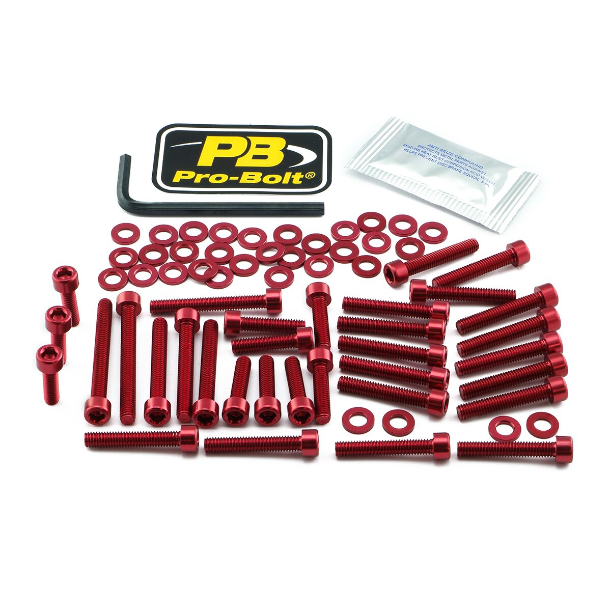 Skruesett modellspesifikke til BMW S 1000 R ABS — Pro Bolt EBM047R