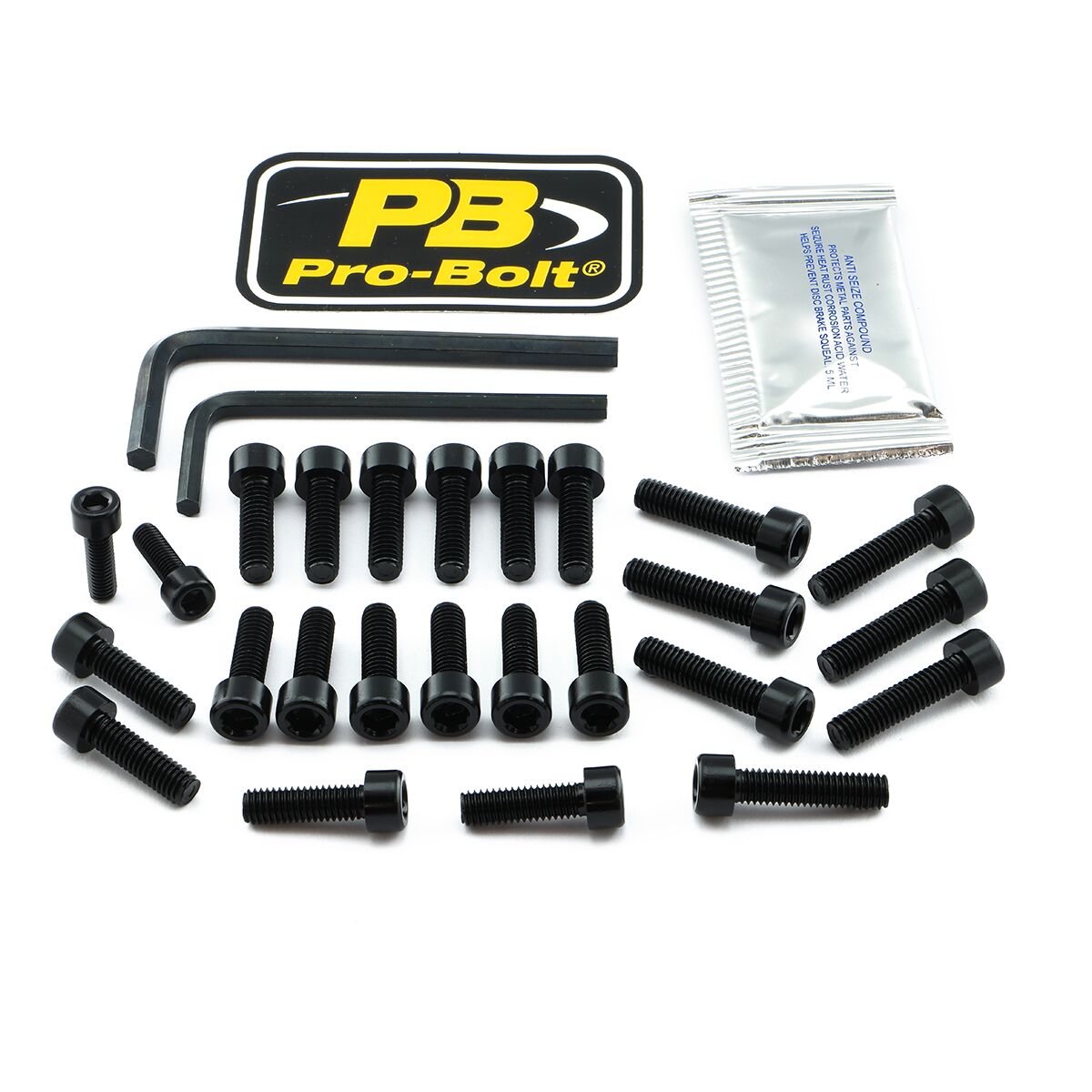 Skruesett modellspesifikke til BMW R 1250 GS ABS — Pro Bolt EBM820BK