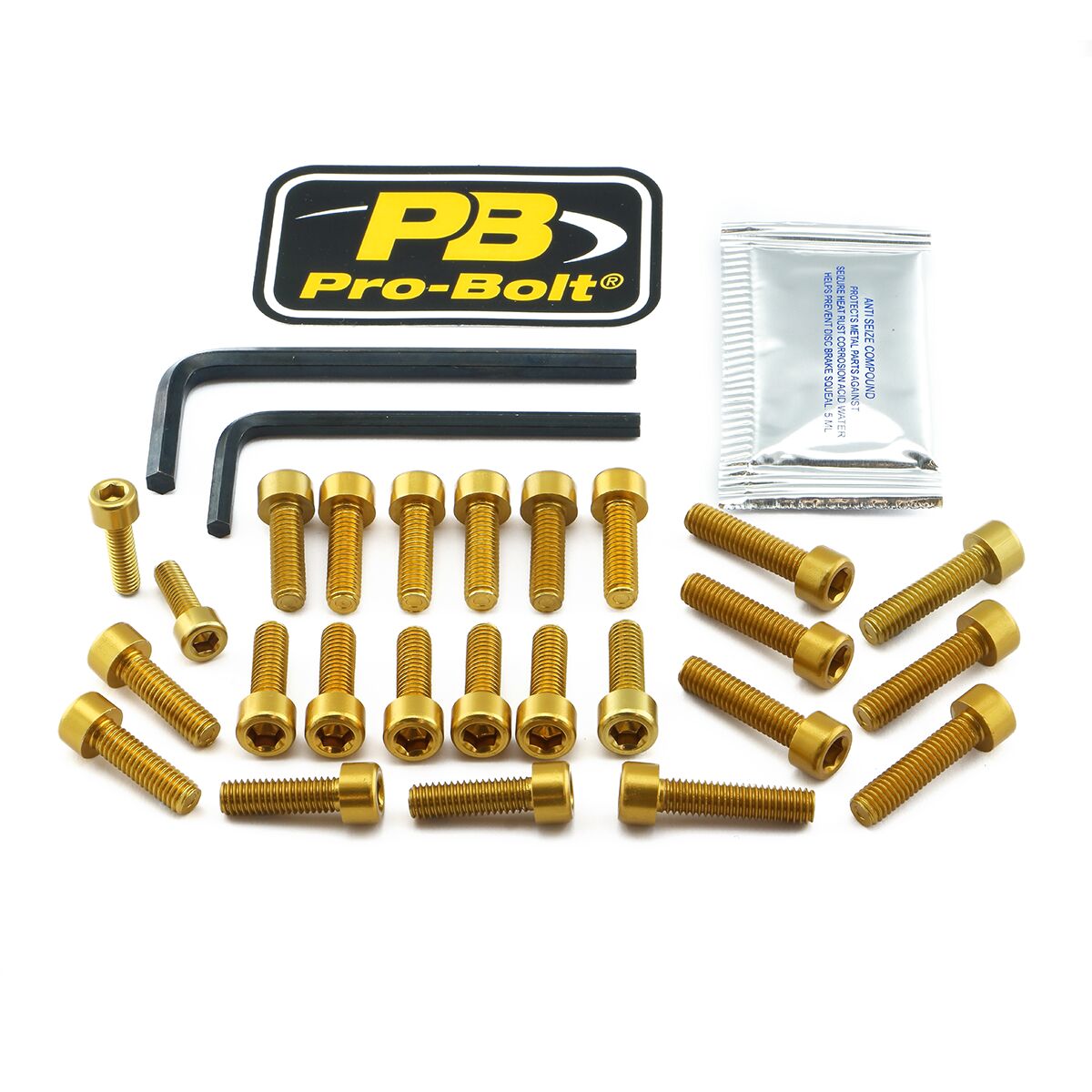 Skruesett modellspesifikke til BMW R 1250 GS ABS — Pro Bolt EBM820G