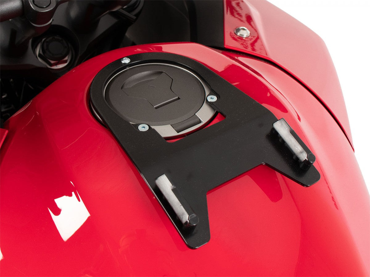Hepco & Becker Tankring Basic Honda NX 500 24-