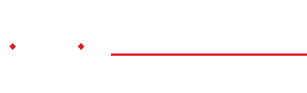 MC SERVICE A/S